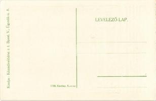 Pozsony, Pressburg, Bratislava; Életünket és vérünket áldozzuk Pozsonyért! Magyar irredenta képeslap...