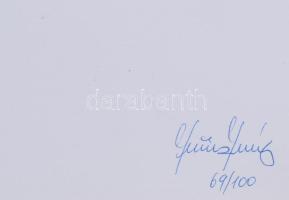 Juhász R. József (1963-): Vakszövegek, mint illusztrációs felvételek agyunk természetes állapotáról,...