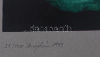 Bujdosó Alpár (1935-2021): Homlokegyenest ... (cím nélkül), 1991. Ofszet nyomat, papír. Jelzett. Szá...