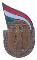 1950-1960 k. "A Technika Ifjú Mestere II" zománcozott bronz jelvény (48x28mm) T:AU,XF
