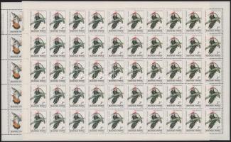 1985 Madarak hajtatlan teljes ívsor