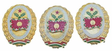 1970-1980 k. "Kiváló Rajparancsnok" + "Kiváló Szakaszparancsnok" + "Kiváló Századparancsnok" aranyozott műgyantás jelvény (40x32mm) T:AU