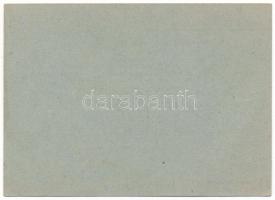 1941. Névre szóló, kitöltött viselői igazolvány az Erdélyi Emlékéremhez, a "M. Kir. kárpátalja ...