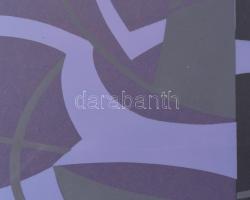 Olvashatatlan jelzéssel: Lila kompozíció. Szitanyomat, papír, számozott (12/30). Üvegezett fakeretbe...