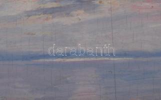 Jelzés nélkül: Vízparti táj (Balaton?). Olaj, fa. Hátoldalán Kovács Dezső műgyűjtő hagyatéki bélyegz...