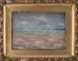 J de Nagy jelzéssel: Vízparti táj. Olaj, karton. Hátoldalán Belvárosi Aukciósház XI. művészeti aukció (1998) raglapjával. Dekoratív, üvegezett, sérült fakeretben. 18x24,5 cm