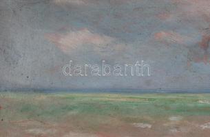 J de Nagy jelzéssel: Vízparti táj. Olaj, karton. Hátoldalán Belvárosi Aukciósház XI. művészeti aukci...