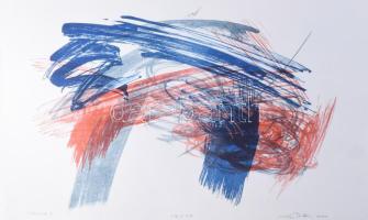 Kiss Zoltán (1965-): Tércsomók III., 2001. Litográfia, papír, jelzett, számozott: 13/13, 31x41 cm