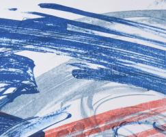 Kiss Zoltán (1965-): Tércsomók III., 2001. Litográfia, papír, jelzett, számozott: 13/13, 31x41 cm