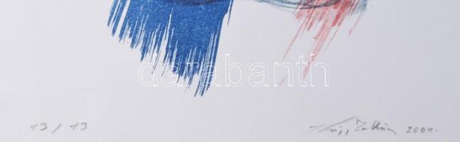 Kiss Zoltán (1965-): Tércsomók III., 2001. Litográfia, papír, jelzett, számozott: 13/13, 31x41 cm