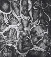 Kőszeghy Csilla (1977-): Belül, 2001. Cinkkarc, papír, jelzett, művészpéldány E.A. XV/II. számozással. Lap alján apró felületi sérüléssel és lapszéli kisebb elszíneződésekkel. 49,5x48,5 cm