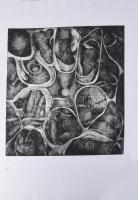 Kőszeghy Csilla (1977-): Belül, 2001. Cinkkarc, papír, jelzett, művészpéldány E.A. XV/II. számozássa...