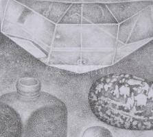 Zemlényi Csaba (1943-): Litho. Litográfia, papír, jelzett, művészpéldány a/p III/XV számozással, 42x...