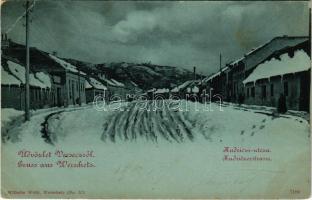 1902 Versec, Vrsac; Kudriczi utca télen. Wilhelm Wettl kiadása / Kudriczerstrasse / street view (EB)