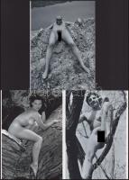 Eltérő időben készült aktfotók szabadtéren, szolidan erotikus felvételek, 3 db modern nagyítás, jelzés nélkül, 21x15 cm