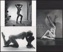 Eltérő időben készült aktfotók műteremben, szolidan erotikus felvételek, 3 db modern nagyítás, jelzés nélkül, 21x15 cm és 15x21 cm