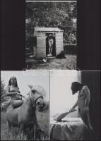 Eltérő időben készült aktfotók lóval, kutyával, libával, szolidan erotikus felvételek, 3 db modern nagyítás, jelzés nélkül, 21x15 cm