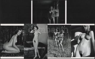 Eltérő időben és helyen készült, szolidan erotikus felvételek, 5 db modern nagyítás, jelzés nélkül, 10x15 cm és 15x10 cm
