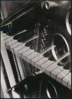 1933 Aenne Biermann (1898-19339 német modernista fotográfus felvétele (Finálé), 1 db modern nagyítás, jelzés nélkül, 21x15 cm