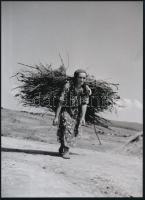 cca 1951 Gyöngyössolymos, Járai Rudolf (1913-1993) budapesti fotóriporter felvétele (Rőzsehordó), 1 db modern nagyítás, jelzés nélkül, 21x15 cm