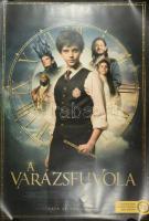 cca 2020-2024 össz. 9 db filmpakát (Gátlástalan örökösök, A menü, A varázsfuvola, Azt mondta, Krokod...