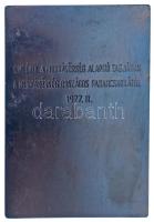 Kiss Nagy András (1930-1997) 1977. "De elvtársaim! Ez az a munkásság, mely osztályharcban vasba...