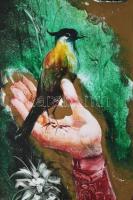 Szilágyi Imre (1942-): Lány madárkával. Olaj, karton, jelzés nélkül. 70x55 cm. Fakeretben