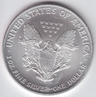 USA 2004. 1$/1oz Ag "Liberty" T:1