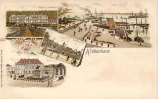 Copenhagen with Skodsborg spa litho