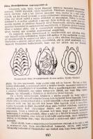 Csáky Sándor: A huszadik század szakácsművészete. Novy Smokovec, Tátrafüred 1930. Szerzői. Második k...