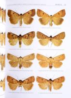 The Witt Catalogue. A Taxonomic Atlas of the Eurasian and North African Noctuoidea. Volume 10: Psaph...