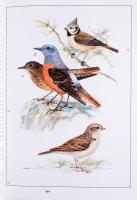 Vörös könyv. A Magyarországon kipusztult és veszélyeztetett növény és állatfajok. Szerk.: Rakonczay ...