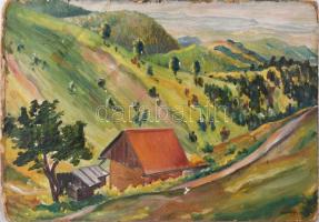 Katz György jelzéssel (Kádár György?): Hegyvidéki táj, 1940. Olaj, karton, kissé sérült, 34×49 cm