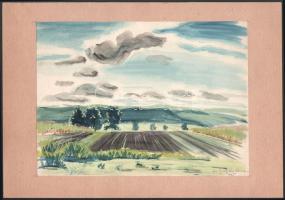 Zimbródy Gulyás (Lehmayer) Ferenc (1909-1979): Bubotai rét, 1935. Akvarell, papír, jelzett. Paszpartuban. 20×27,5 cm