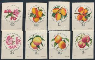 1964 Magyar barackfajták vágott sor (6.000)