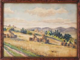 Székely Mihály (-): Táj, 1952. Akvarell, papír. Jelzett. hátoldalán címkén feliratozott. Üvegezett fakeretben. 30x40 cm