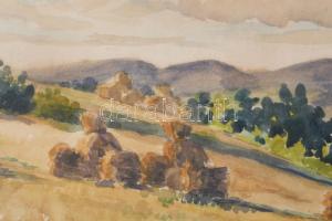 Székely Mihály (-): Táj, 1952. Akvarell, papír. Jelzett. hátoldalán címkén feliratozott. Üvegezett f...