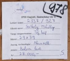 Székely Mihály (-): Táj, 1952. Akvarell, papír. Jelzett. hátoldalán címkén feliratozott. Üvegezett f...