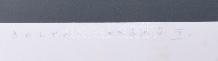 Stefanovics Péter (1947-): Bolyai erőmű II. Szitanyomat, papír, jelzett, számozott (1/15). Lapszéli ...