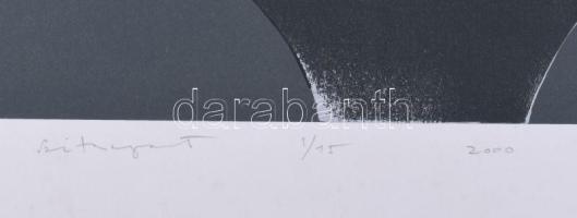 Stefanovics Péter (1947-): Bolyai erőmű II. Szitanyomat, papír, jelzett, számozott (1/15). Lapszéli ...