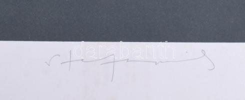 Stefanovics Péter (1947-): Bolyai erőmű II. Szitanyomat, papír, jelzett, számozott (1/15). Lapszéli ...