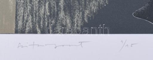 Stefanovics Péter (1947-): Bolyai erőmű III. Szitanyomat, papír, jelzett, számozott (1/15). 42×60 cm