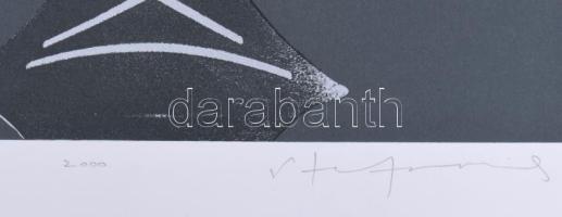 Stefanovics Péter (1947-): Bolyai erőmű III. Szitanyomat, papír, jelzett, számozott (1/15). 42×60 cm