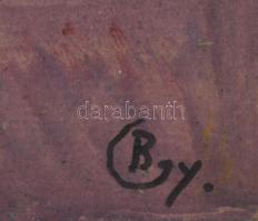 Bakányi Gyula (1955-): Iskolás fiú, tempera, karton, jelzett, 39,5×50 cm