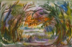 Kukovics Rózsa (1942-): Táj erdei fákkal, 1989. Akvarell, papír. Jelzett. Lap széle sérült. 35x50 cm