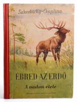 Szkrebickij-Csaplina: Ébred az erdő. A vadon élete. Bp., 1950. Magyar-Szovjet. Kiadói félvászon köté...