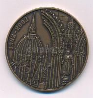 Csóka Zsuzsa (1962-) 2002. "Steindl Imre 1839-1902 - A magyar történelem nagy alakjai" kétoldalas bronz emlékérem (42,5mm) T:AU