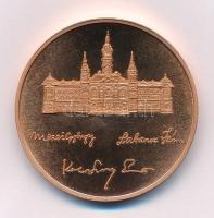 Lebó Ferenc (1960-) 1992. "Győr Kultúrájáért Alapítvány 1992" bronz emlékérem (42,5mm) T:U...