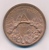 DN "Nehézipari Műszaki Egyetem Bányamérnöki Kar 1735" bronz emlékérem, a hátlapon a selmec...