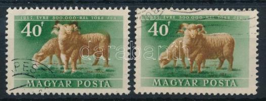 1951 Háziállatok 40f látványosan eltolódott barna színnyomat + támpéldány